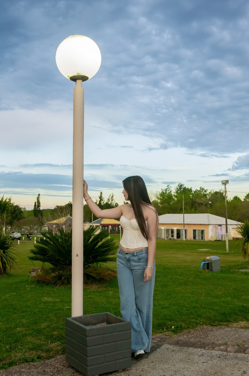 Rocío en el jardín al atardecer
